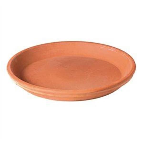 Deroma 256510 5.9 x 1 in. Terra Cotta Clay Saucer; White - Pack of 24